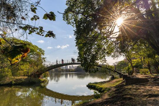 Parque Ibirapuera" Imagens – Procure 220 fotos, vetores e vídeos | Adobe  Stock