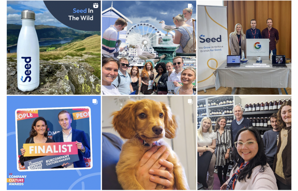 seed-instagram-account