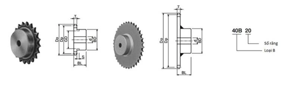 Đĩa xích con lăn chuẩn ANSI