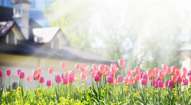 Explore Tranquility Through These Scenic Landscapes, scenic landscapes, tranquility, nature, landscape, nature escape, peaceful moments