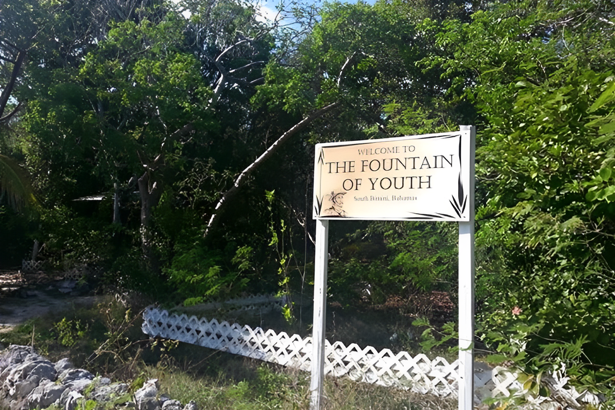 It's the board of named the fountain of youth and there are so many trees around there