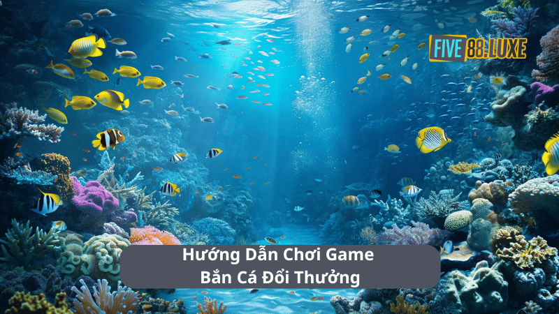 Hướng Dẫn Chơi Game Bắn Cá Đổi Thưởng