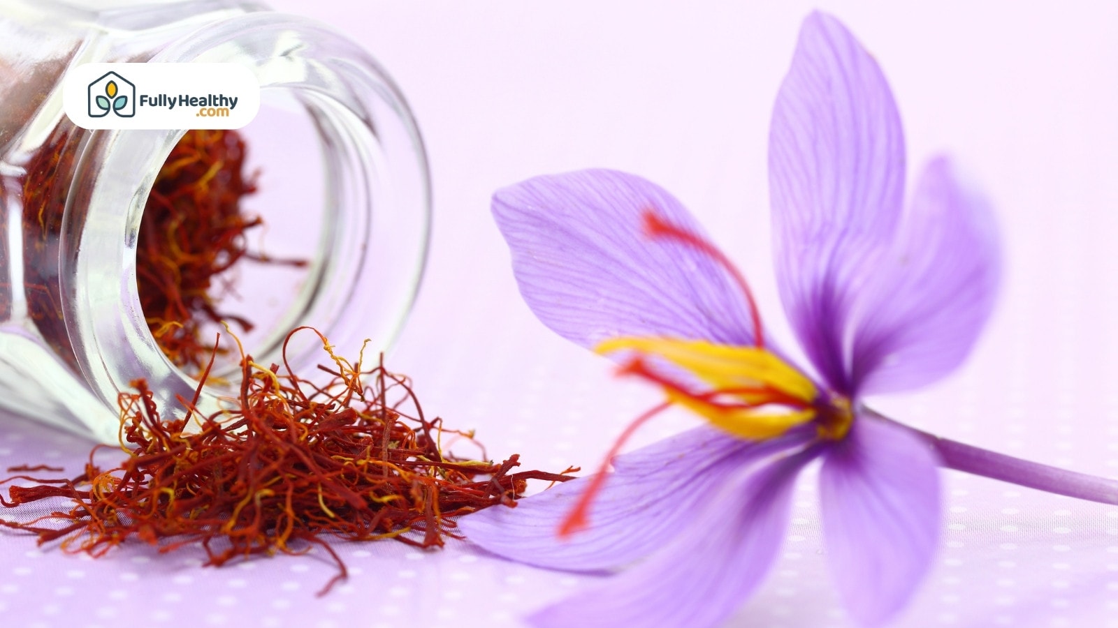 Dried Saffron spice in a jar beside its flower