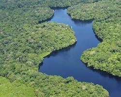 Imagen de Selva Amazónica, Brasil