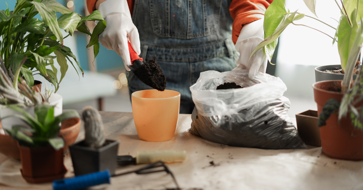 Propagation Tools for ZZ Plant