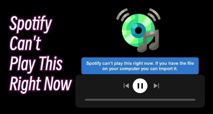 Spotify cant play this right now