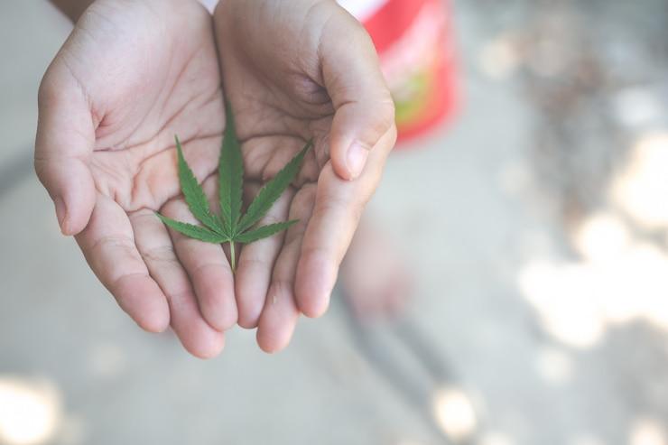 Getting Your Medical Marijuana Card in Central Richmond, Virginia: A Simple Guide