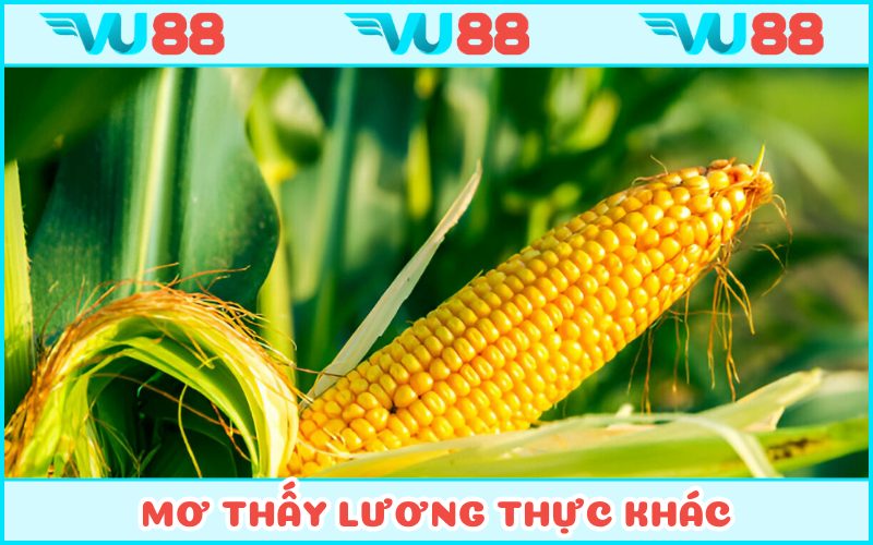 Mộng mị lương thực và con số tài lộc 