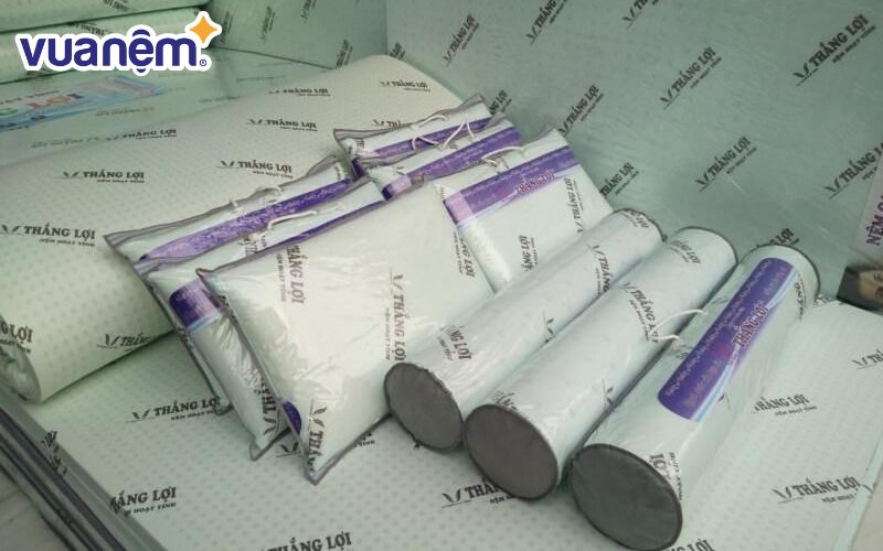  Nệm Thắng Lợi cũng có tới 8 mẫu sản phẩm khác nhau 