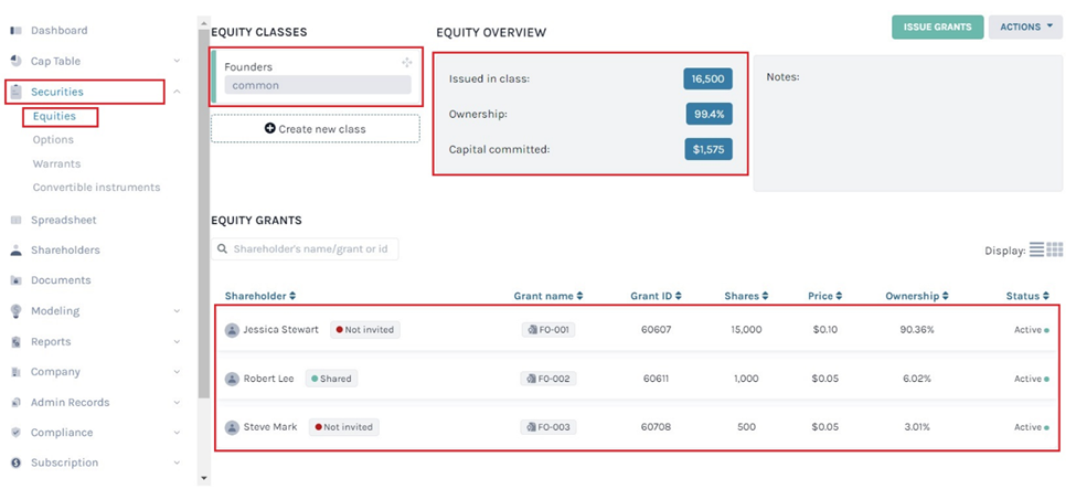 equity grants 