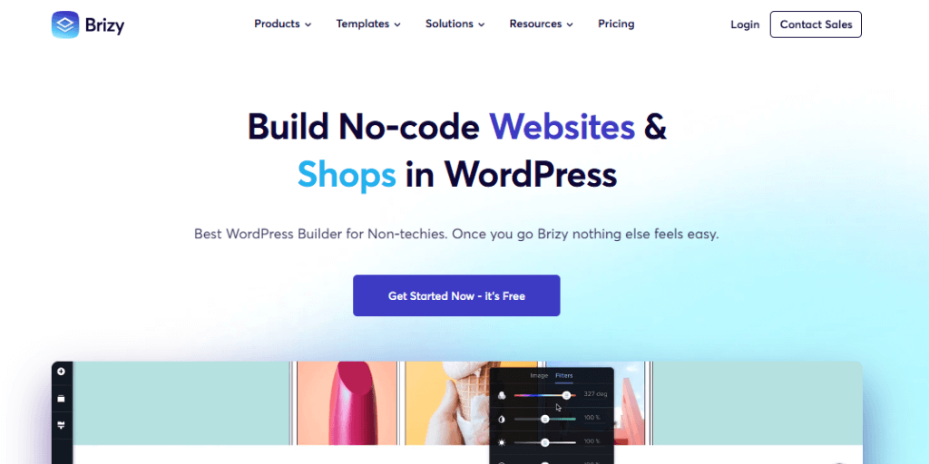Brizy Page Builder