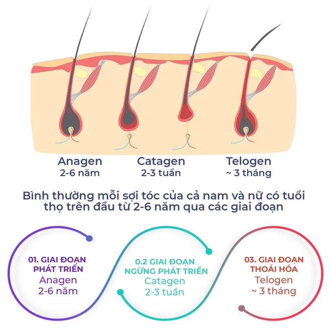 Novoxidyl Bộ Đôi Ngăn Ngừa Rụng Tóc Nhập Khẩu Từ Balan