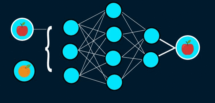 GIF visualization of Working of Neural Network