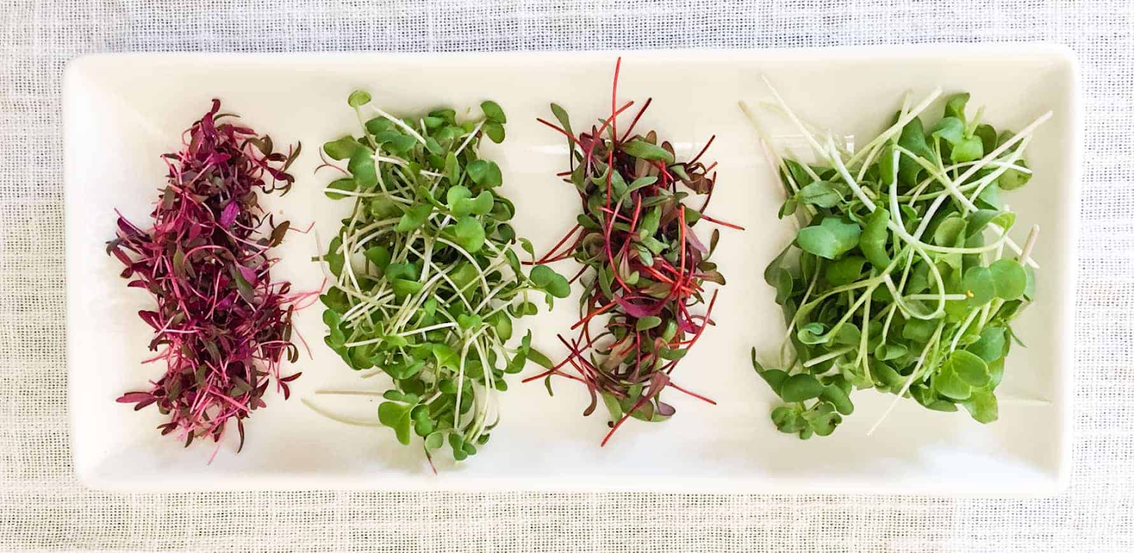 Types of Microgreens