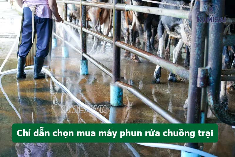 Cách chọn máy rửa xe dọn chuồng trại, sân vườn