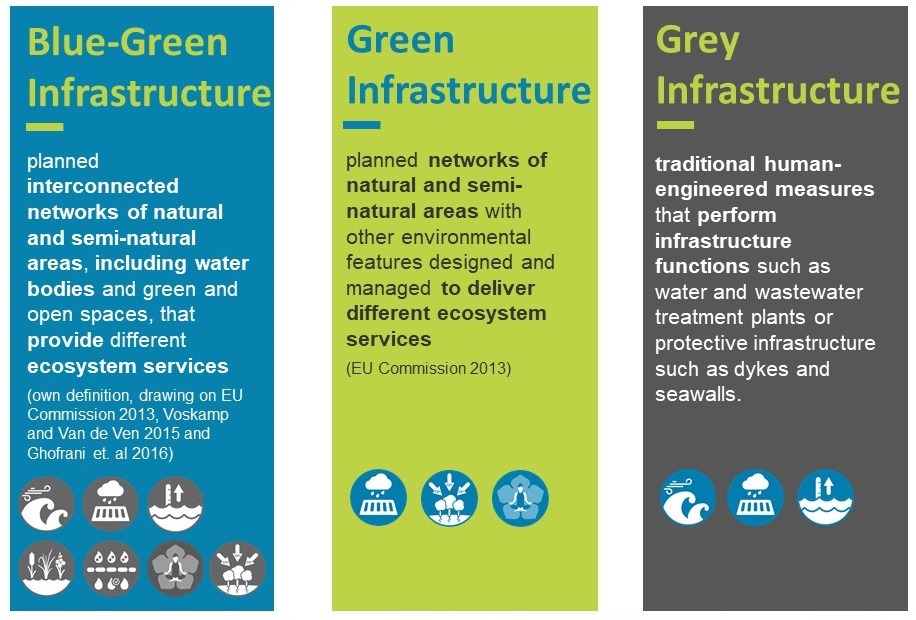 Blue-green infrastructure: from a single measure to city-wide network -  Wetlands International