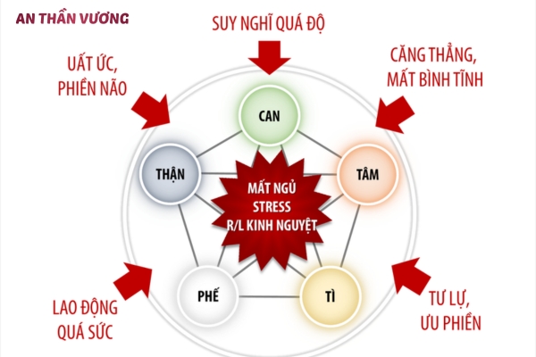 Cách trị khó ngủ theo Y học cổ truyền dựa trên nguyên lý nào?