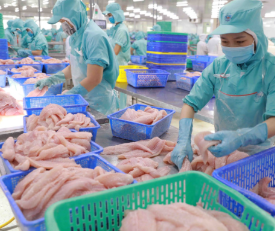 Cung cấp nguyên liệu xuất khẩu.olm
