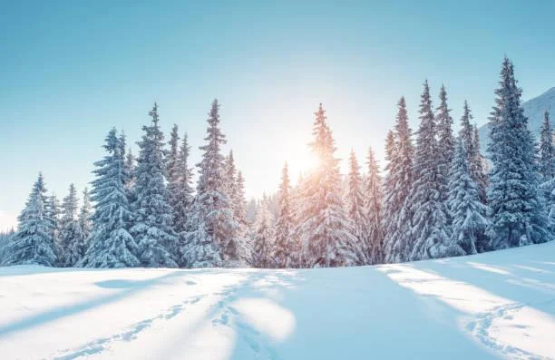 18 Photo Moments Where Earth Shines Bright, earth shining, photo moments, nature, landscape, brilliant nature, scenic glow