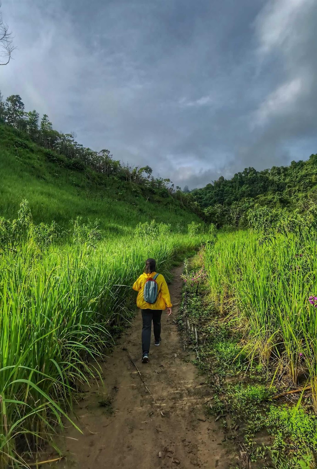 A person walking on a dirt path with tall grass

Description automatically generated