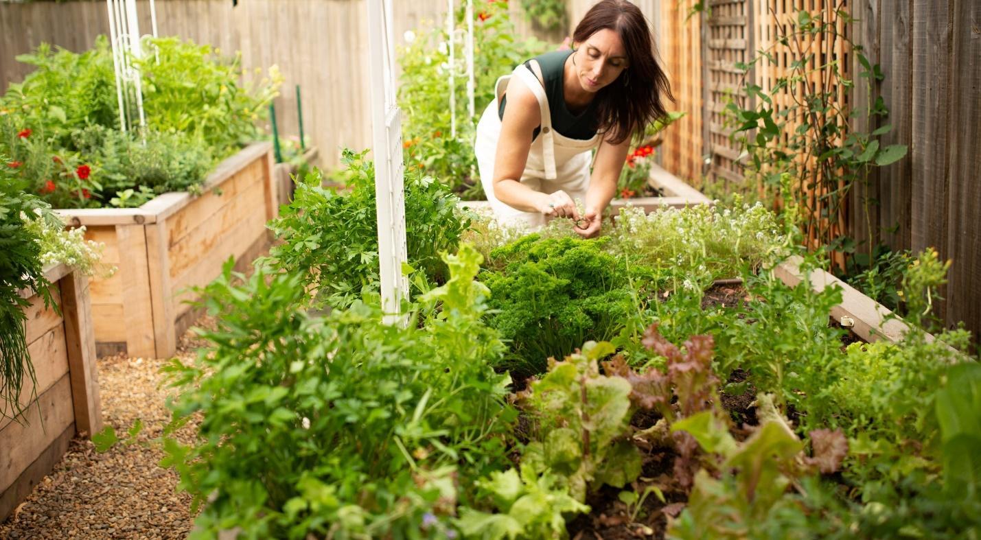 Home Gardening