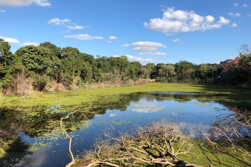 santa cruz ruta en bolivia
