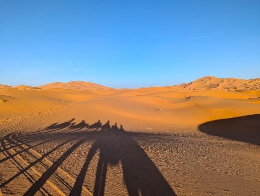 Shadows of camels in a desert

AI-generated content may be incorrect.