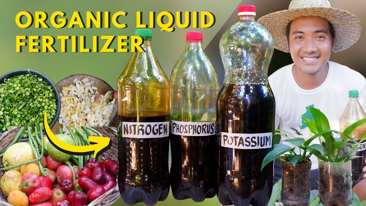 Benefits of Organic Liquid Fertilizers