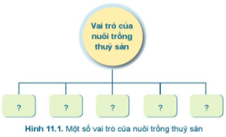 BÀI 11.GIỚI THIỆU CHUNG VỀ NUÔI TRỒNG THỦY SẢNMỞ ĐẦUCâu hỏi: Em hãy kể tên một số món ăn được chế biến từ thủy sản mà em biết.Đáp án chuẩn:Ba ba rang muối; cá quả nướng; lươn xào sả ớt; ngao hấp sả...1. VAI TRÒ CỦA NUÔI TRỒNG THỦY SẢNCâu hỏi : Dựa vào nội dung của bài đọc trên, hãy hoàn thiện sơ đồ vai trò của nuôi trồng thủy sản theo mẫu ở Hình 11.1.Đáp án chuẩn:Cung cấp thực phẩm, nguyên liệu chế biến, xuất khẩu và thức ăn chăn nuôi.VD. Hãy kể tên một số loại thủy sản đang được nuôi tại địa phương em.Đáp án chuẩn:Tôm, cá, ngao, cua,...2. MỘT SỐ LOẠI THỦY SẢN CÓ GIÁ TRỊ KINH TẾ CAO