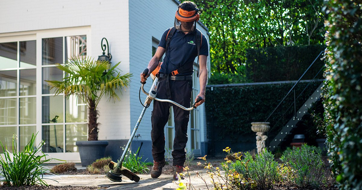 Finding Affordable Landscaping Services in NYC