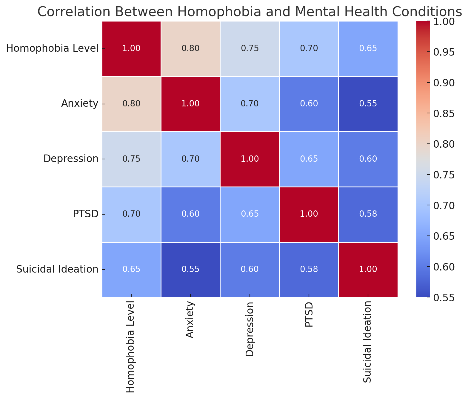 Heatmap showing the correlation between homophobia levels and mental health conditions like anxiety and PTSD.