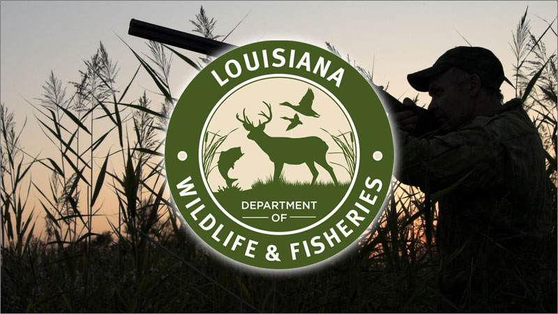 Louisiana Department of Wildlife and Fisheries