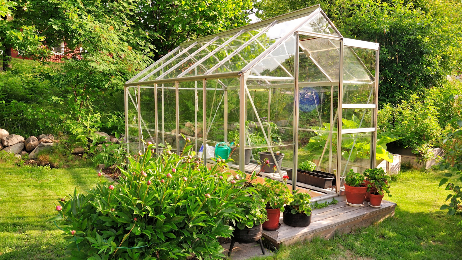 Greenhouse Growing