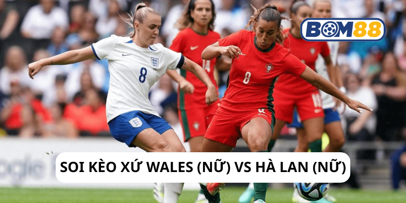 Soi kèo bóng đá Xứ Wales vs Hà Lan giải EURO Nữ 2025