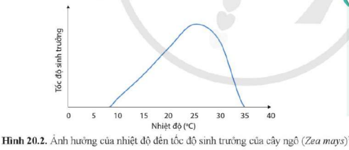 BÀI 20. MÔI TRƯỜNG SỐNG VÀ CÁC NHÂN TỐ SINH THÁI