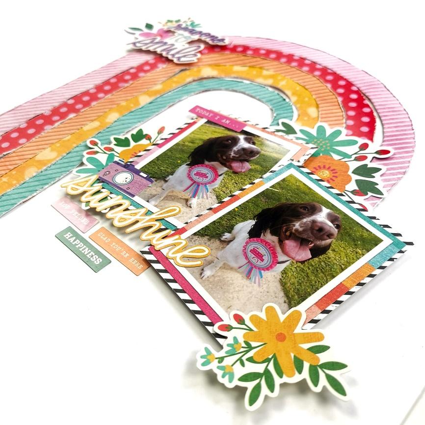 A rainbow with pictures of dogs and flowers

Description automatically generated