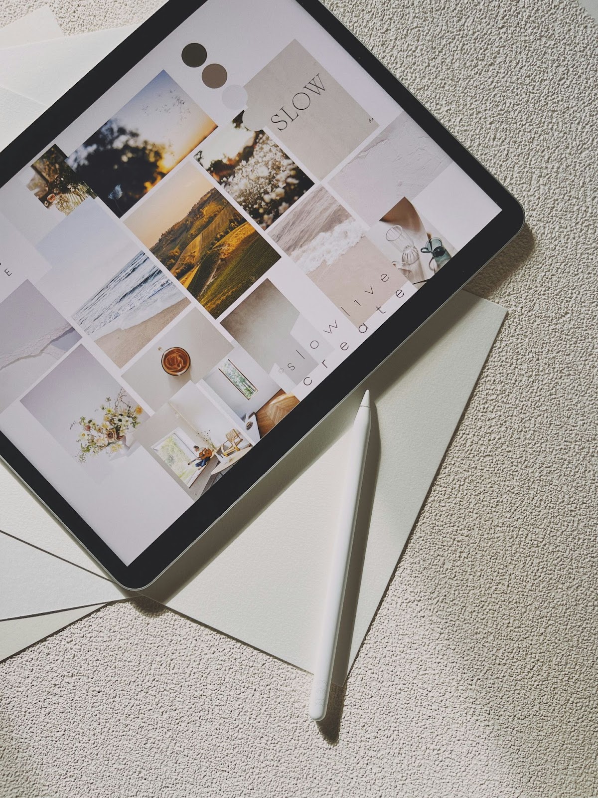 Embed high-quality dive visuals directly from DAM into your website and blog posts