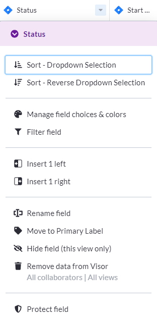 Column customization options in Visor