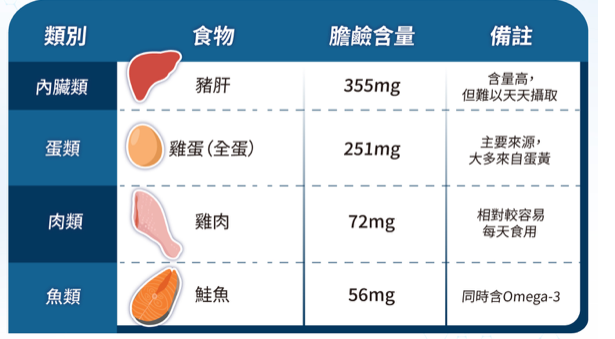 膽鹼的食物來源