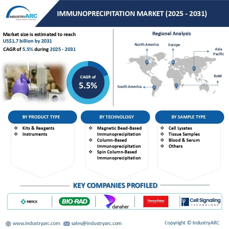 Immunoprecipitation Market