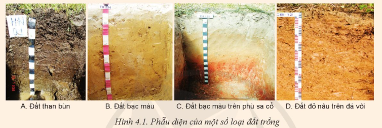 BÀI 4: THÀNH PHẦN VÀ TÍNH CHẤT CỦA ĐẤT TRỒNG