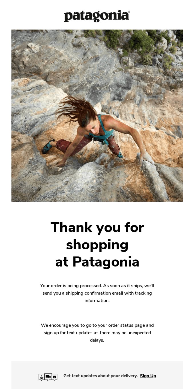 Example of strong visuals in Patagonia's email.