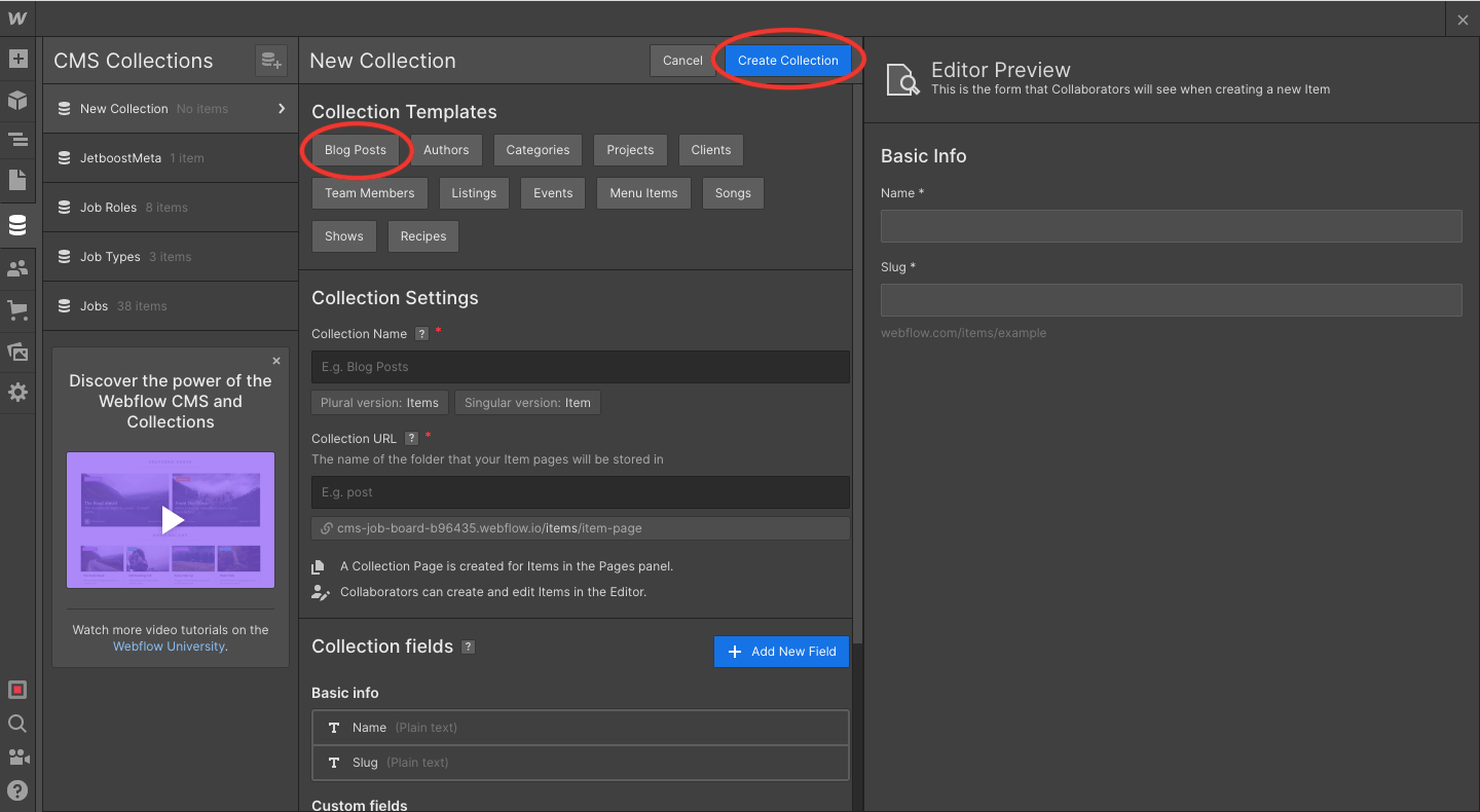 Setting Up the Collection List in Webflow-axiabits