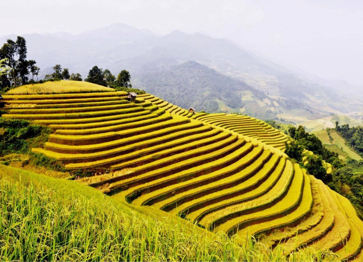 Khám phá vùng đất hoang sơ Tủa Chùa - Điện Biên - Ảnh 2.