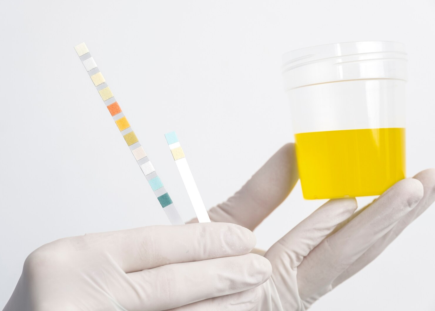 Best Synthetic Urine