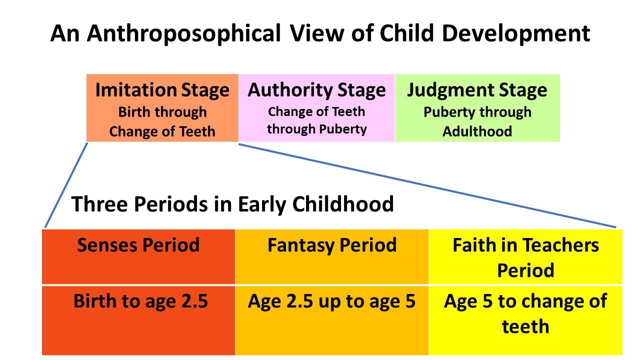 A chart showing stages of developmentDescription automatically generated