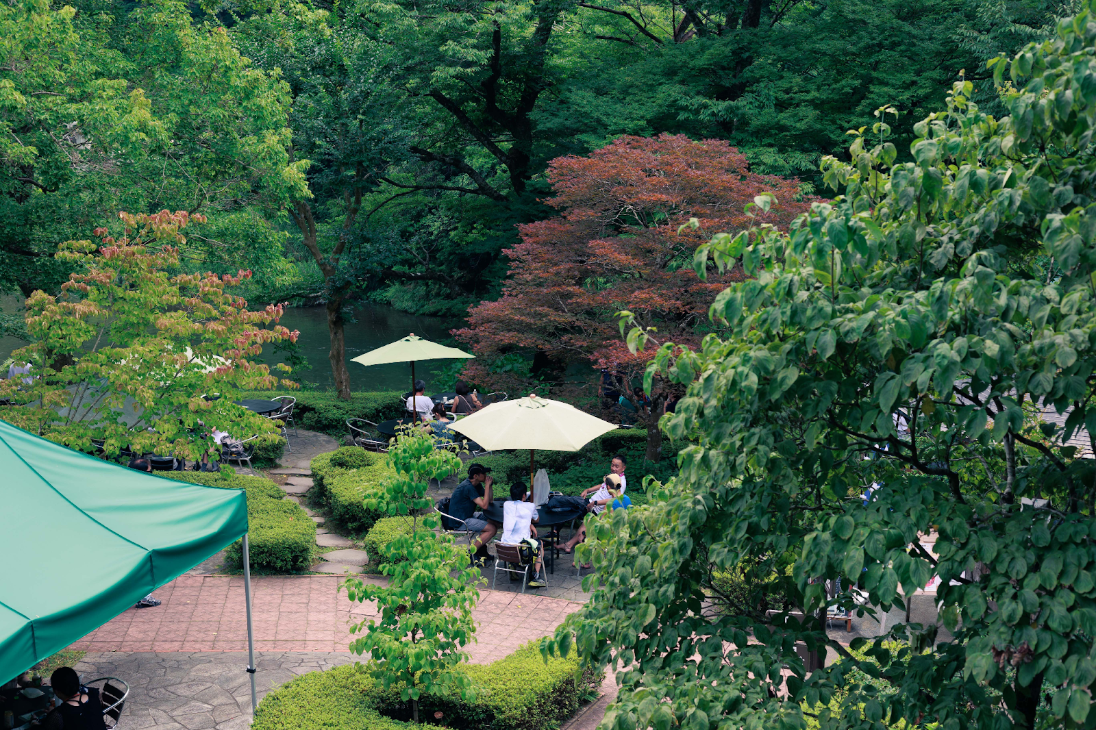 清流ガーデン澤乃井園