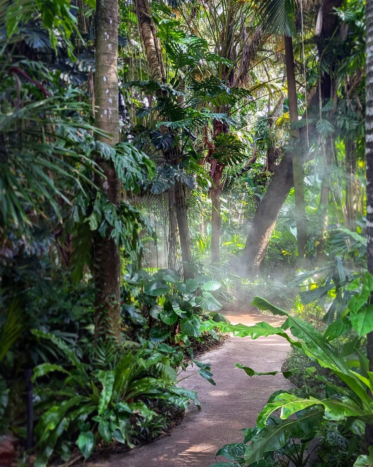 Visit Fairchild Tropical Botanic Garden