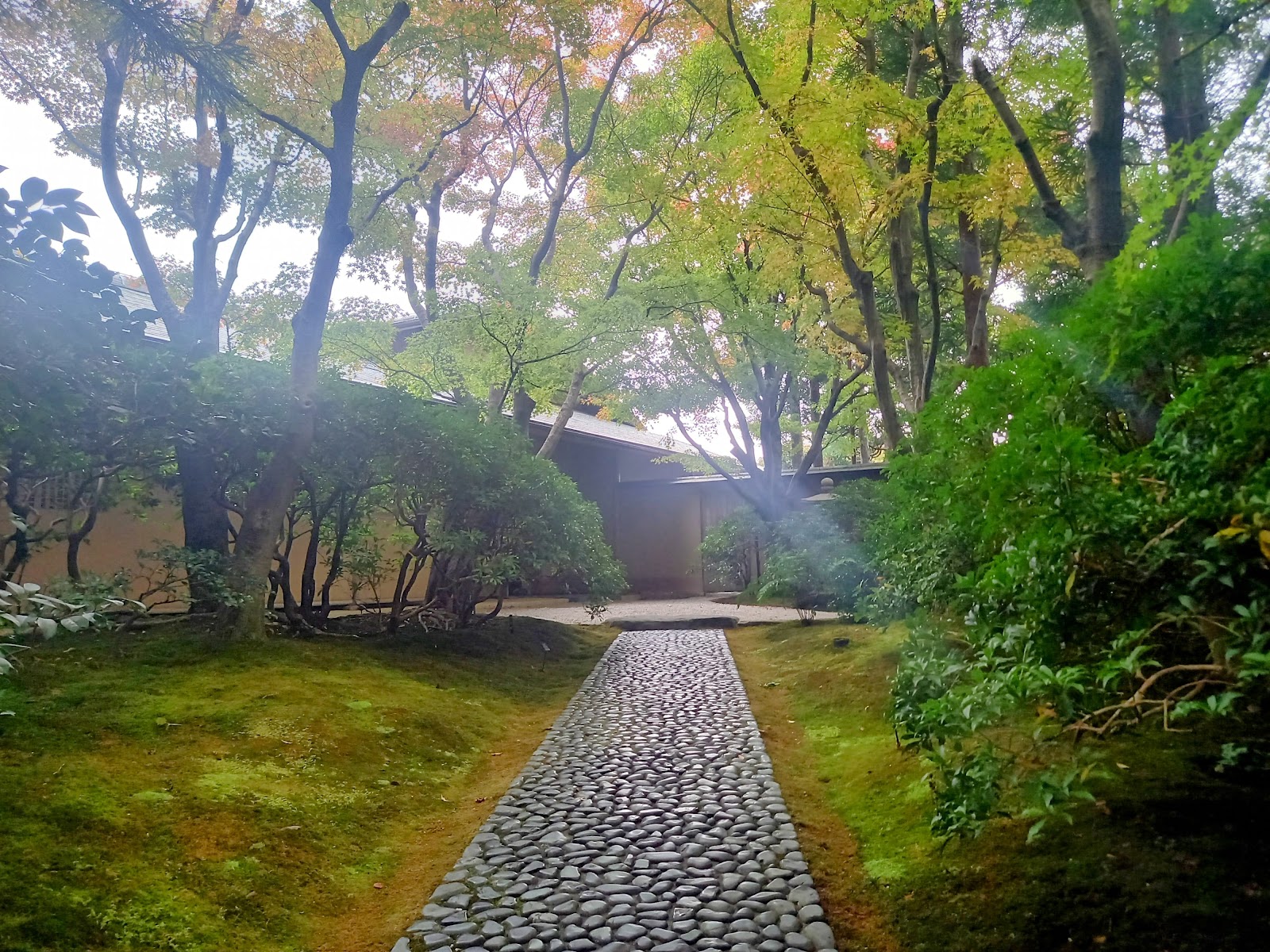 北山山荘に向かう途中で。苔と木々の緑が美しい。