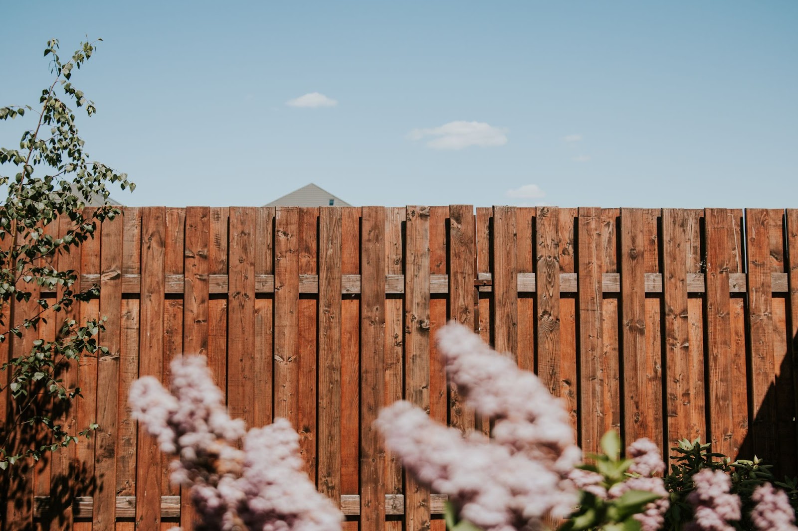 Wooden privacy fence next to plants and flowers. 